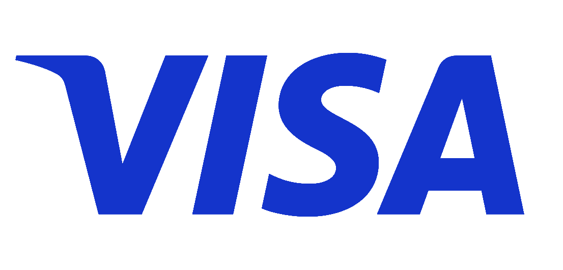 visa payment